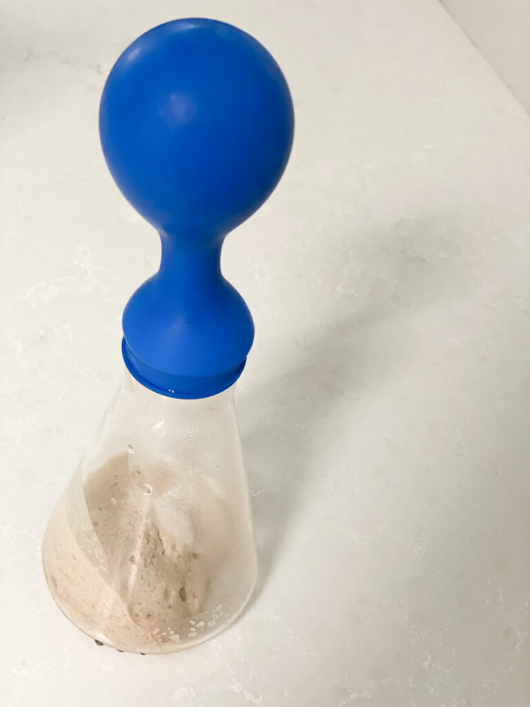 balloon inflated by a mixture of yeast and sugar